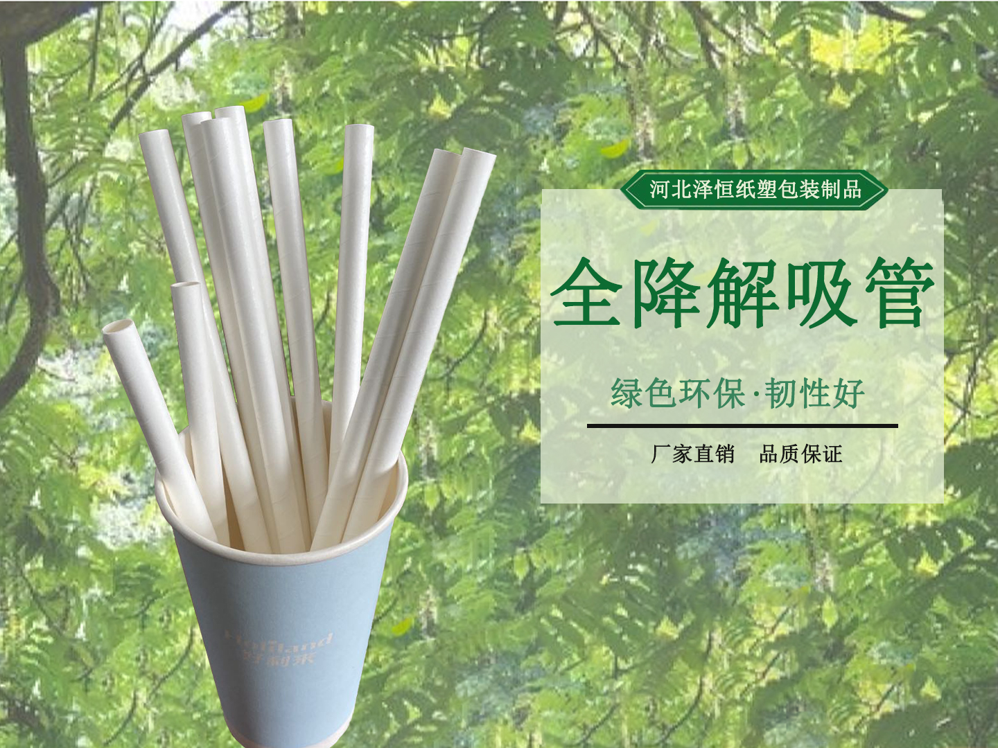 紙吸管